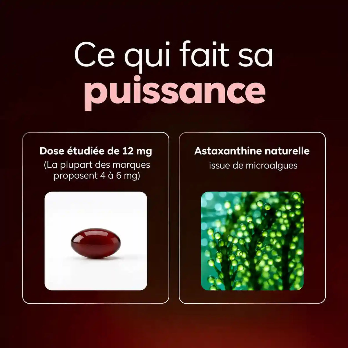 Astaxanthine Bioviar- L'antioxydant naturel le plus puissant pour le soutien de l'organisme et la protection cellulaire